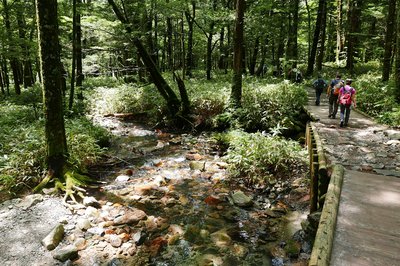 🌳 신들의 놀이터(카무이 헤치리코호) 이미지 5